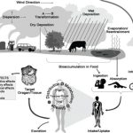 Chemicals ecologie mediului protectia pollution